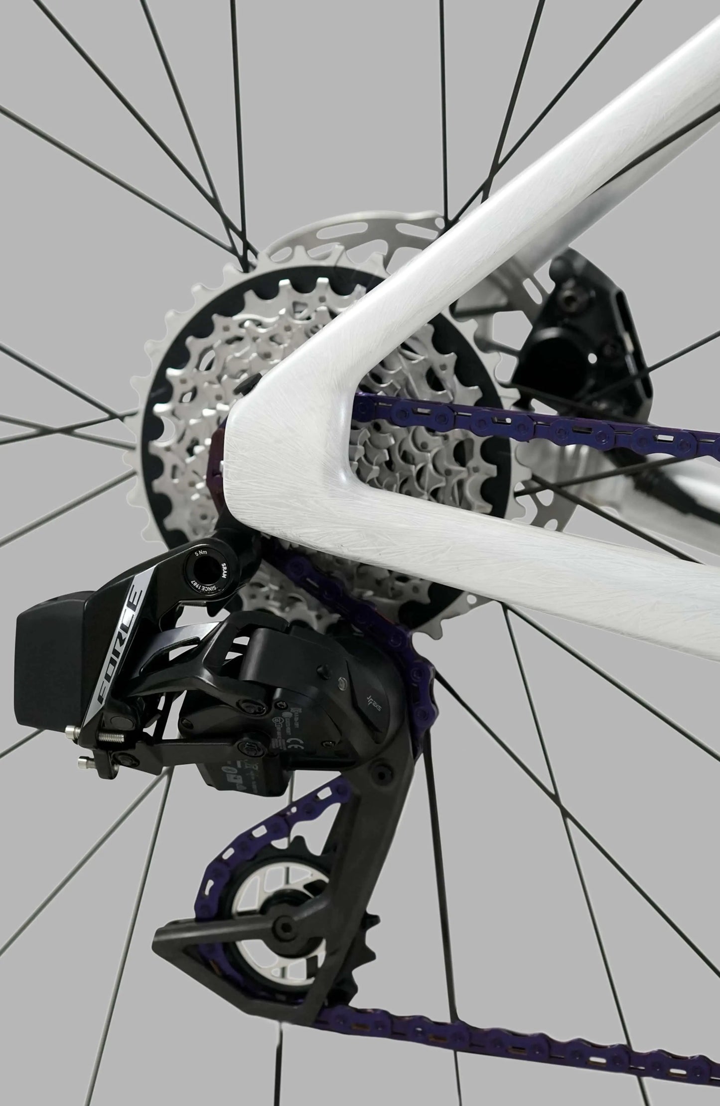 PULSE 04 SLR 2026