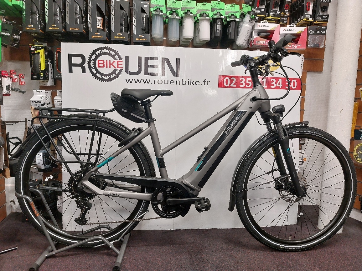 VTC électrique Pegasus Premio Evo CX