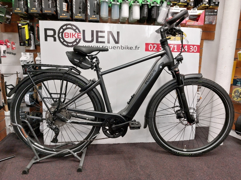 VTC électrique Pegasus Premio Evo Lite 10