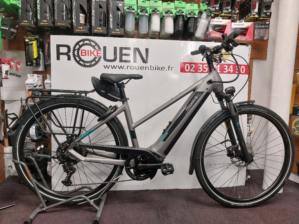 VTC électrique Pegasus Premio Evo CX