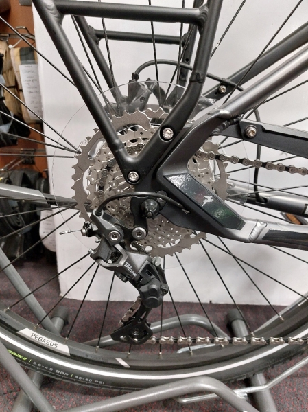 VTC électrique Pegasus Premio Evo Lite 10