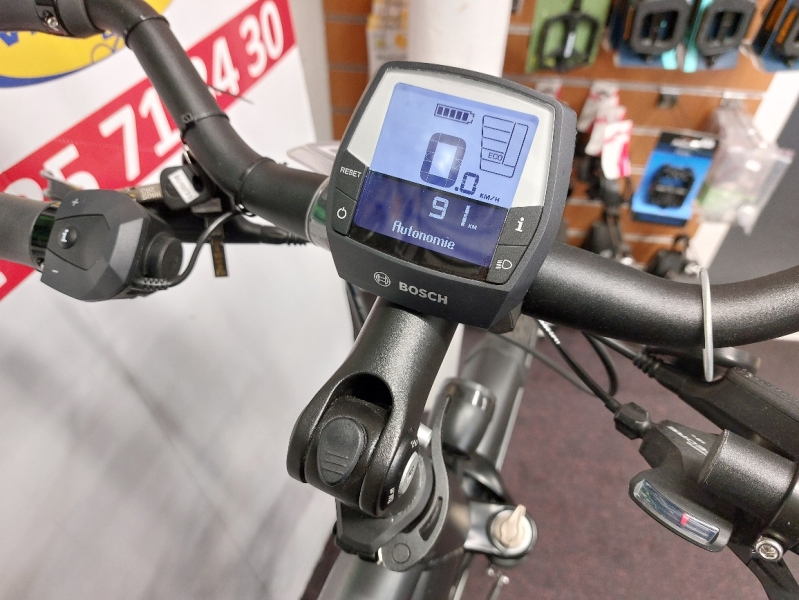 VTC électrique Pegasus Premio Evo Lite 10