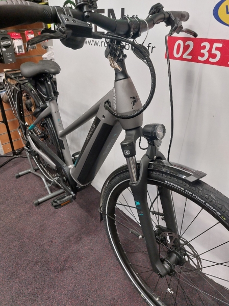 VTC électrique Pegasus Premio Evo CX