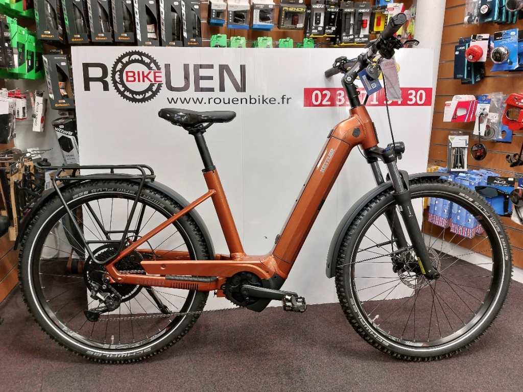 VTC Vélo Électrique VAE Kettler Quadriga Town Country P10
