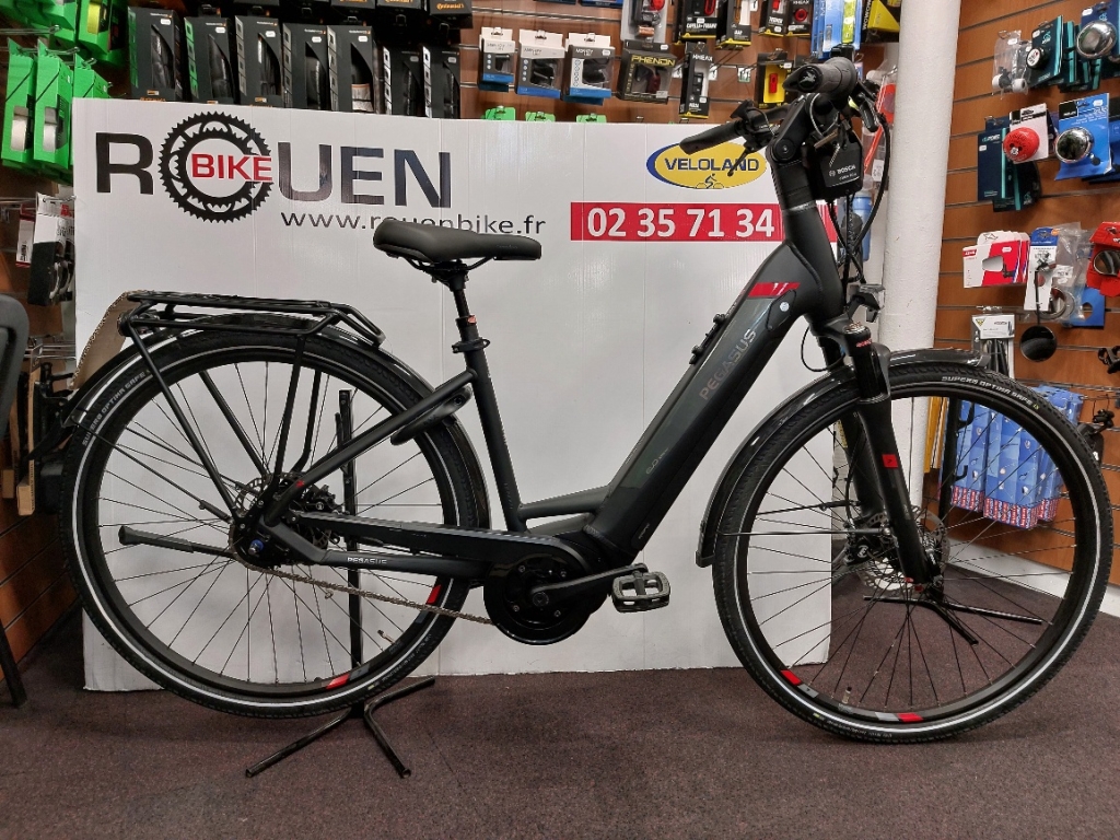 VTC électrique PEGASUS Premio Evo 5F Nexus