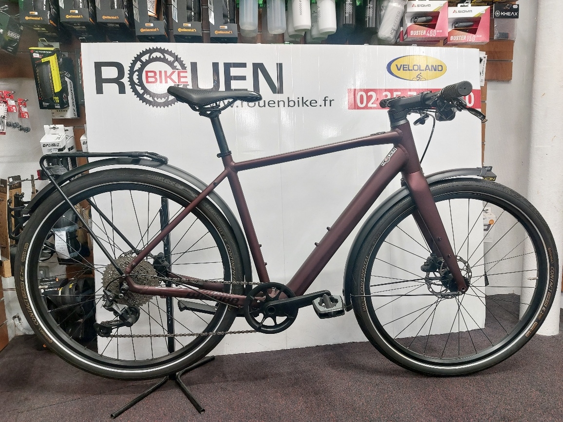 VTC Electrique Winora E-Flitzer